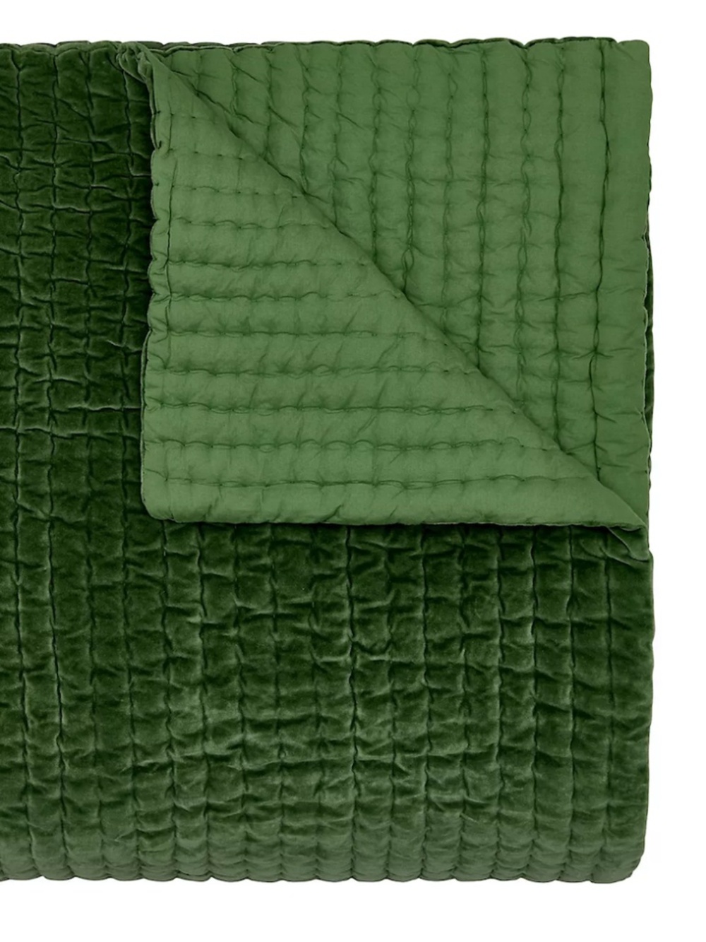 John Robshaw Velvet Coverlet
